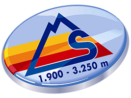 Apres Skis Party at the Skialm